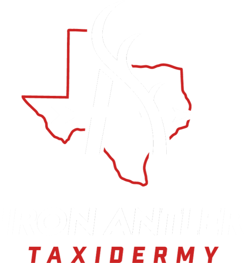 iron-antler-taxidermy-logo